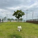 낄낄아놀자 이미지