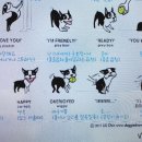 연경동물병원 이미지