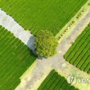 서광리-26 이미지