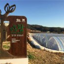 이영규농장 이미지