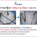 버블버블 애견샵 이미지