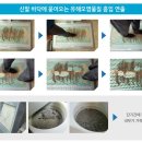 만정중학교 이미지