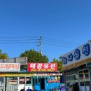 해광 | [인천] 1인 5만원, 쭈꾸미 낚시가 가능한 해광유선 체험 후기