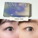 미문도 마네 아틱블루 슬레이트 그레이 후기 아이돌렌즈 빅직경렌즈