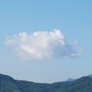 왕산농장 이미지