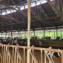 태양축사 이미지