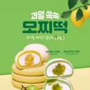모찌커피 지데일리