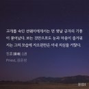 [중국BL] 프리스트 작가님 작품 후기 : 진혼 / 잔차품 / 열화요수 감상평 스포 약간有