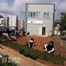 안강4리 이미지