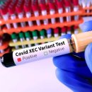 ​“변이마다 더 약해진다?” 코로나19가 진화하며 달라진 변화 이미지