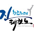 한국체대 진 태권도장 이미지