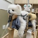 동물제중원금손이 동물병원 이미지