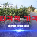 신효동-20 이미지