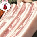 강변흑돼지 이미지