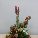 뜰에꽃화원 이미지