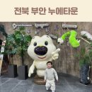 큰사랑마트(영등점) | 부안 누에타운 실내 체험 아이랑 전북 부안 가볼만한곳