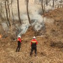 모화3리 이미지