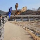경북야생동물구조관리센터 | 경북야생동물구조관리센터, 2006년 개원 이후 야생동물 5173마리 구조