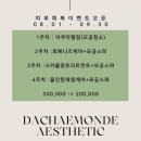 다채몽드
