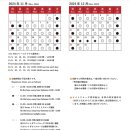 오사카 수족관 아쿠아리움 가이유칸 수족관 해유관 티켓 예약 덴포잔 마켓플레이스 대관람차 총정리 후기