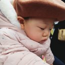 대륜동 군족옆 | 시부모님과 함께_올래국수_하이엔드제주_서귀포 히든클리프호텔&amp;네이처_첫째날_서귀포 족발맛집_군족본점