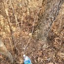 산골나들이 이미지