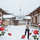 봉제산 등촌동 숲속놀이터 | 겨울밤, 봉제산에서 만난 시(詩) 같은 순간들