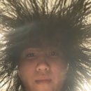 김영원 | 사인 : 치즈 4톤