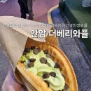 더베리와플 | 안암 맛집 <더베리와플>, 아이스크림 와플 진짜 제일 좋아하는 곳