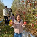 로컬푸드 이미지