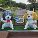 🐶 김천숲속야영장 반려견 동반 캠핑 후기