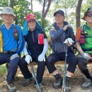 대전둘레산길(1구간) 이미지