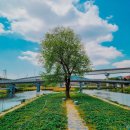 경안천 전대리 이미지