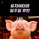 한빛카서비스 | 11월 가을 기록🍂