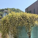 어라이브전주호텔시화연풍 | 호텔어라이브 전주 시화연풍 | 전주 한옥마을 호텔 추천, 봄날의 전주가 더 특별해지는 곳