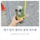 떡빙 | 메가커피 여름메뉴 말차 젤라또 팥빙 파르페 내돈내산 후기 및 가격, 할인쿠폰, 칼로리