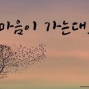 토다기 이미지