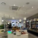 스타몽 | 강남역 애견유치원 스타몽 후기! 내돈내산, 직장인 반려인한테 강추해요