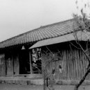 삼창농장 네이버블로그