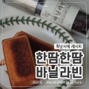 홈베이킹(저녁) | [한땀한땀] 갈아 쓰는 바닐라빈, 바닐라빈 휘낭시에 만들기 : 스테비아 활용 홈베이킹