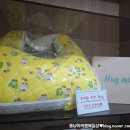 오즈산후조리원 이미지