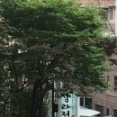 삼라정 이미지