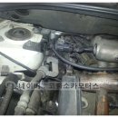 코뿔소카센타 이미지