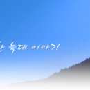 착한 이미지