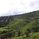 경희아침한의원 이미지