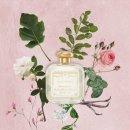 장미약국 | 산타마리아노벨라 로사 가데니아: 장미를 크림에 빠뜨린다면 바로 이 향기