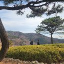 사하구-11 이미지