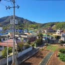 맹종죽순체험길 | 거제도13-1 맹종죽순체험길 ~용등산1