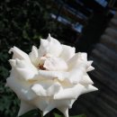 신용목장 이미지