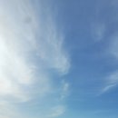 꽃지팰리스